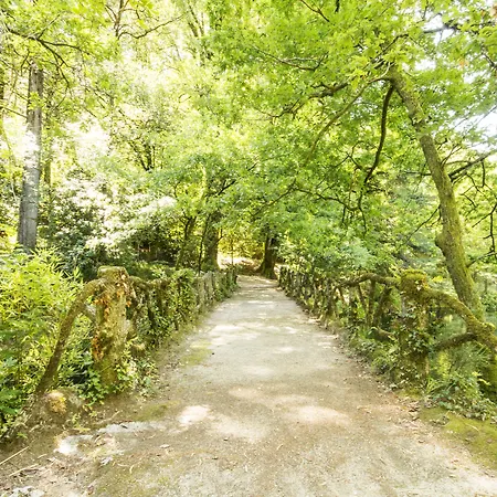 Aguas Do - Hotel, Termas & Hotel 3*