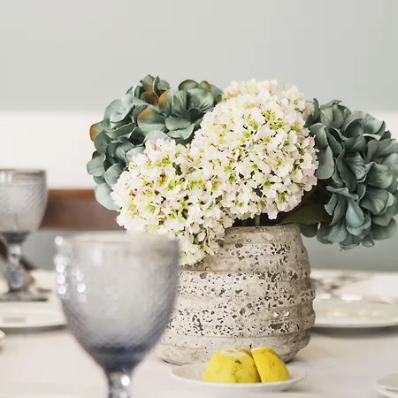 阿瓜都吉利斯酒店、矿泉&spa 3*