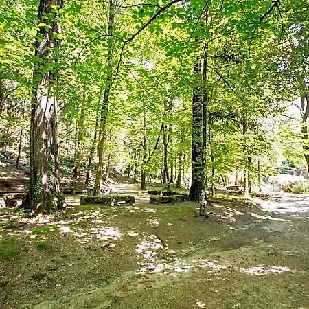 Otel Aguas Do - Hotel, Termas &