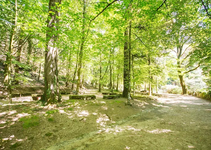 מלון Aguas Do - Hotel, Termas & ג'רס